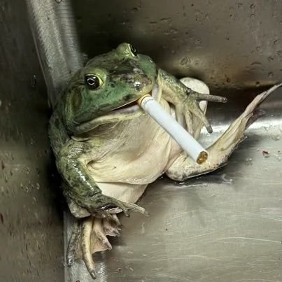 Ganyan_'s profile picture. salah satu cuilan sy, kalau kamu satu satunya