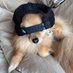 Auxi (@auxicrzy) Twitter profile photo Auxi (@auxicrzy) Twitter profile photo