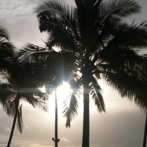 joedeluce's profile picture. 