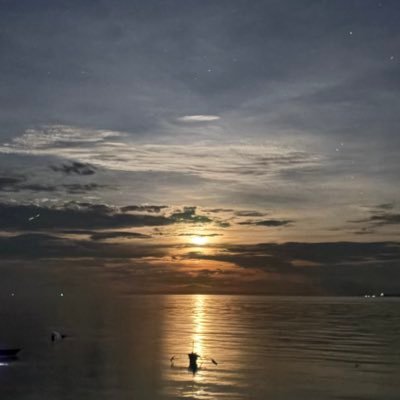 diaryofugh's profile picture. 😁