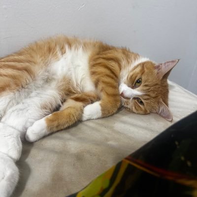 Sherriemills112's profile picture. #phillyjawn