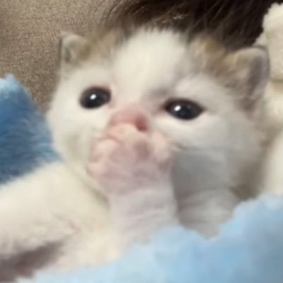 lylylylyhozak's profile picture. 