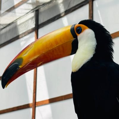 mikaeruof's profile picture. TRPGとお実況専用アカ、あと現実。もう夏じゃん2025