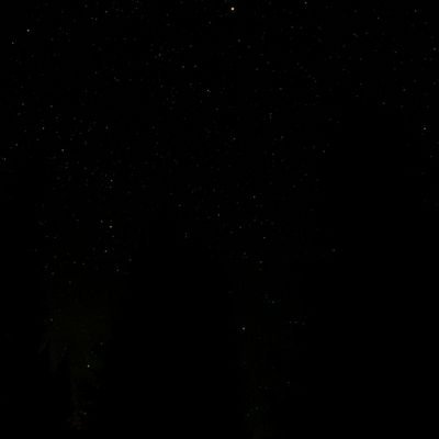 omoenjoyer282's profile picture. ♂️