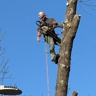 climbing_83's profile picture. The opportunity of a lifetime ,,must be seized,, in the lifetime of the opportunity
