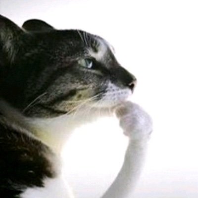 She1677210's profile picture. 