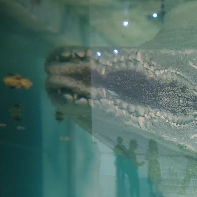 12312121hehe's profile picture. 