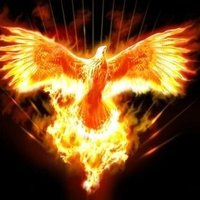 Tchaux (@tchaux3950) 's Twitter Profile