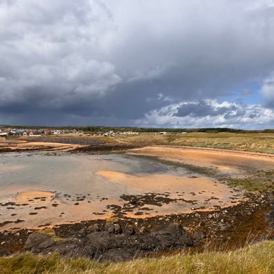 TamLamont8's profile picture. 