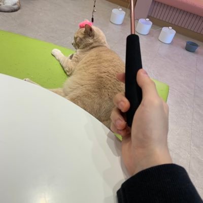 yeongjun_s10170's profile picture. 042/ 00 / 남자요즈 / 1750 기상술사 / 일상 게임이야기