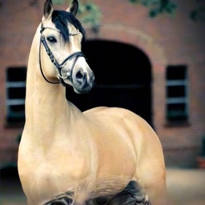 حنابني زعـب الـذي جـده اسليـم واسليـم أبـن منصـور مافيـه تعتيـم فـي الجاهليـه ثـم الاسـلام ماضـيـم اسمـن جمعنـا نفتخـر بـه وسـامـي منزالنـا مابيـن مكه ويثرب