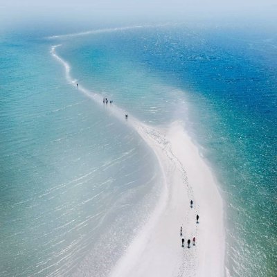 davidli49605964's profile picture. 