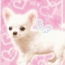 sungchani_u Profile Picture