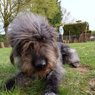 Geboren in Korea, aber mit 4 Monaten nach Deutschland adoptiert.
Nierentransplantiert, aber genieße das Leben 🥰