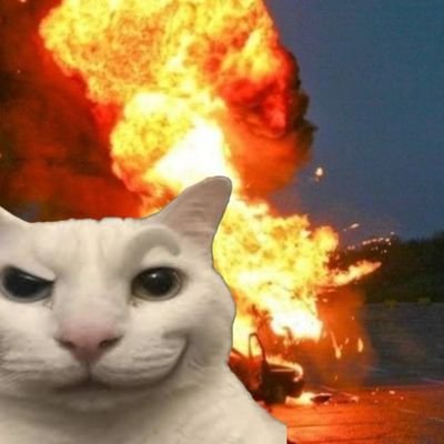 __farhan23__'s profile picture. Not lost, just exploring.