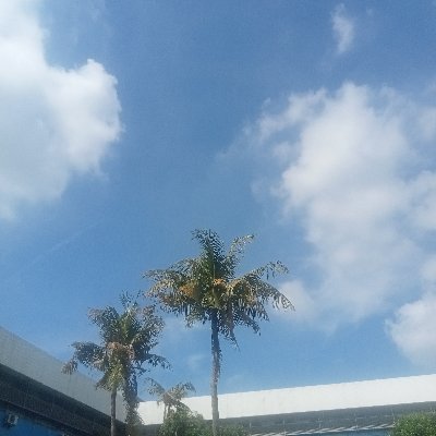 Cloverflocker's profile picture. Just your average Indonesian boy.