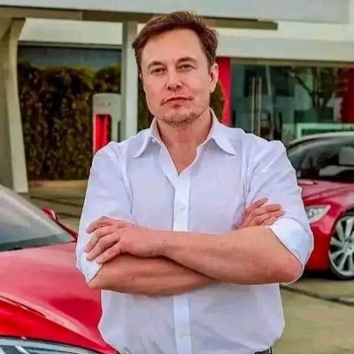 StockTesla70302's profile picture. 