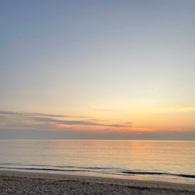 FrenchNFLData's profile picture. 