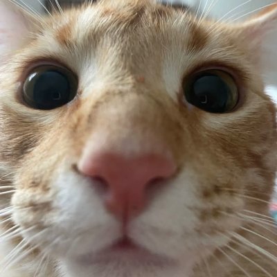 18sk0's profile picture. 