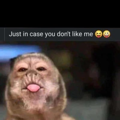 hayatisahari76's profile picture. Love is a journey not a destination