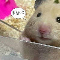 jiungparkXIN💓 (@jiungpark2002) 's Twitter Profile Photo jiungparkXIN💓 (@jiungpark2002) 's Twitter Profile Photo