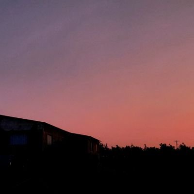 wroznn's profile picture. 