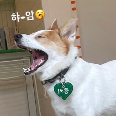 LNCCOH's profile picture. 🐉☀️🥕