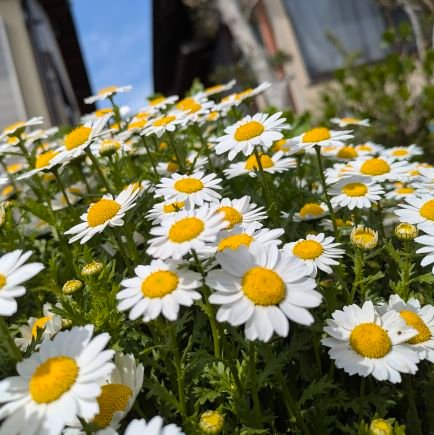 QBzFISp1ws32608's profile picture. 