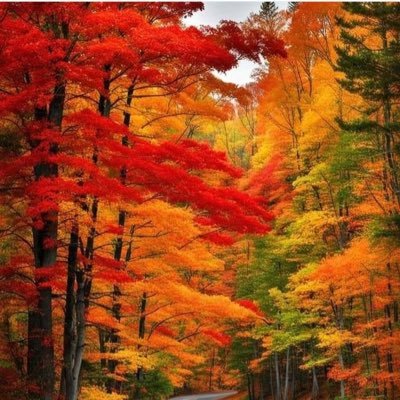 t2_dya's profile picture. 