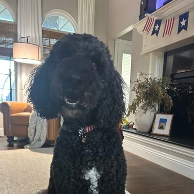 STNorm23's profile picture. Expert in all things