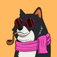 Charlie (@doge_0x_) 's Twitter Profile
