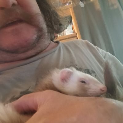 MichaelBuntin17's profile picture. 