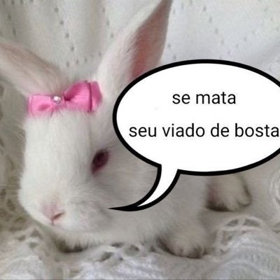 Eu me identifico como