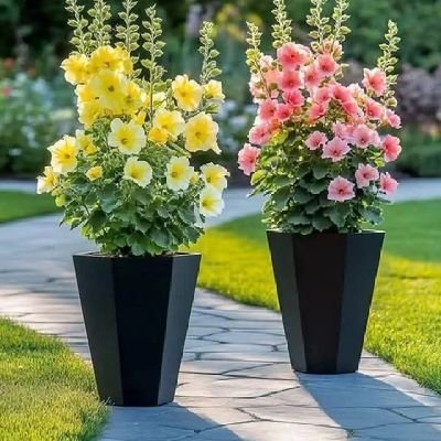 medalami7's profile picture. 