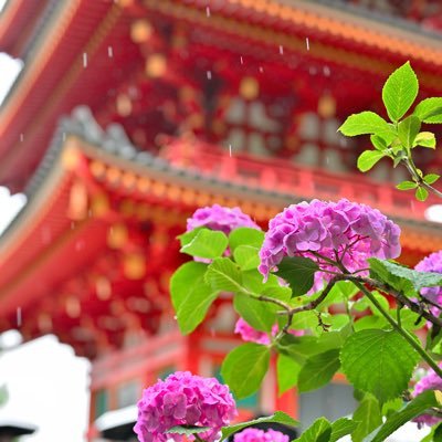 saika_photo2018's profile picture. カメラ始めたばかりの初心者です🔰 Nikon Z5Ⅱ使ってます。