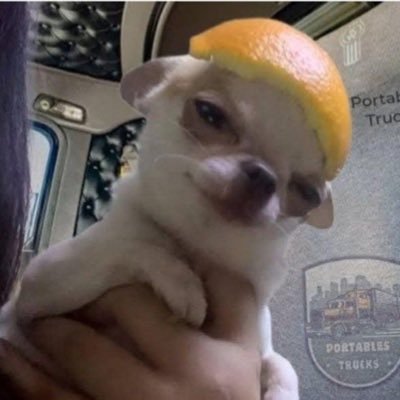 monstera_1212's profile picture. 감성일상계