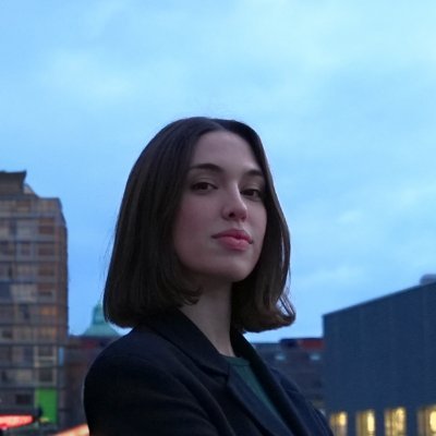 founder (YC S25) · computer scientist · solving problems (some real, some invented) @vibeflowai