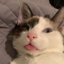 elena rial - @elenarialhdz - Twitter