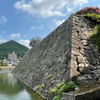 μ (@mu28_quiz) Twitter profile photo