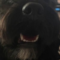 TowardsTheLight (@2wardsthel1ght) 's Twitter Profile