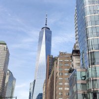 Sophie C. (@trad_corr) 's Twitter Profile