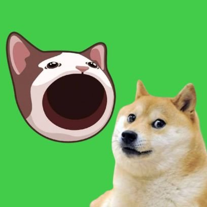 Daily updates on $POPCAT ’s progress flipping $DOGE