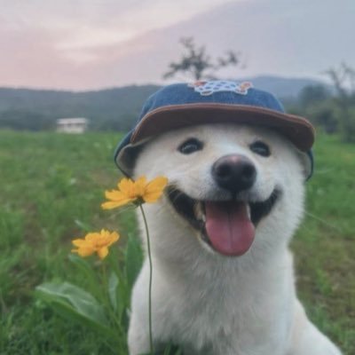 swaecay's profile picture. i do a lil spinny spin