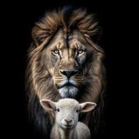 Leão de Judá 🇧🇷🇺🇸🇮🇱TODO PODER EMANA DO POVO (@mauricioo209) 's Twitter Profile