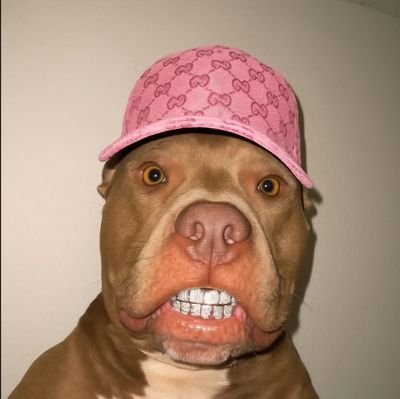 flipfeelings's profile picture. Creating content on web3 and recording videos to portuguese speaking audience.