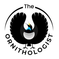 The Ornithologist (@ornithomagazine) 's Twitter Profile