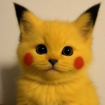 wolve0_0's profile picture. Memecoin trader| Cryptogeek
https://t.co/3lgxhM8GhE