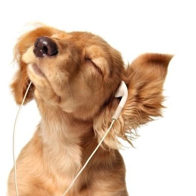 anoujos's profile picture. 