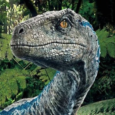 PhilK777's profile picture. The Revelation is written correctly in the correct chronological order.