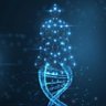 PrimeBiology's profile picture. Upgrade your health, increase your longevity.

Informational purposes only, not medical advice.